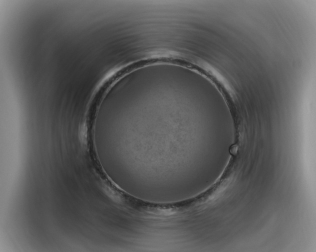 X0000115450975200911121150