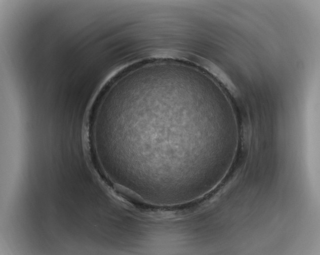 X0000115450976200911121150