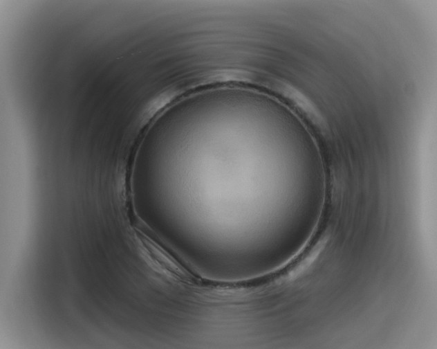 X0000115450977200911121150