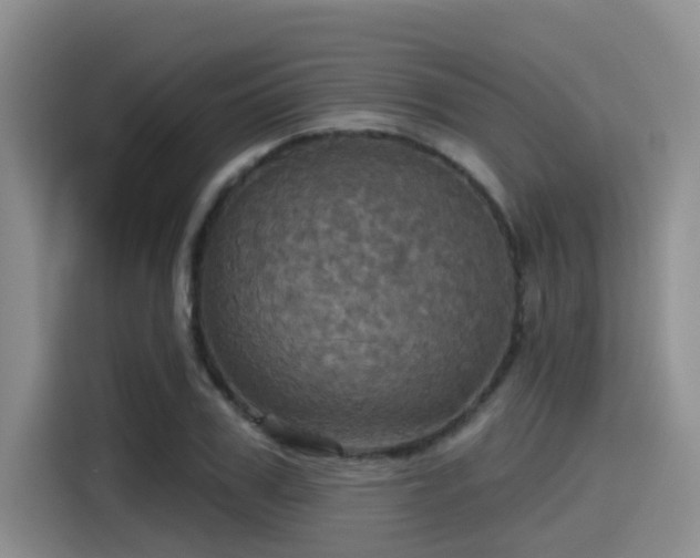 X0000115450979200911121150