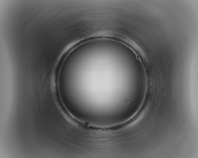 X0000115450981200911121150