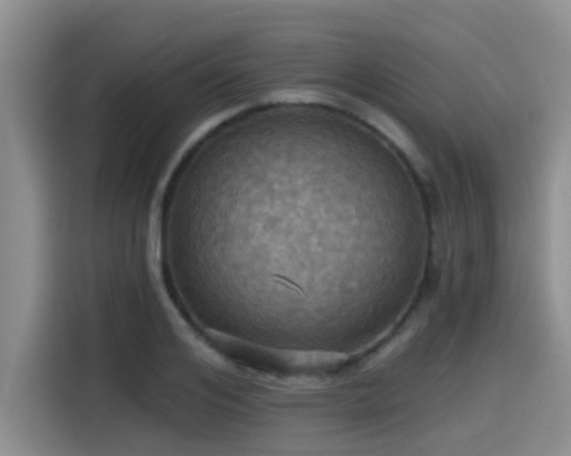 X0000115450984200911121150