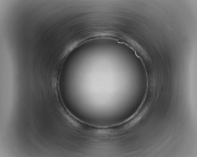X0000115450985200911121150