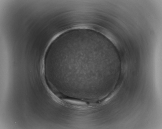 X0000115450988200911121150