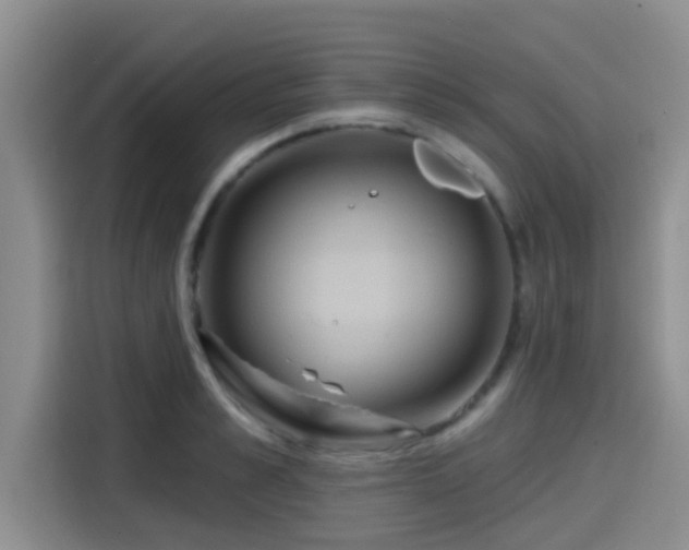 X0000115450989200911121150