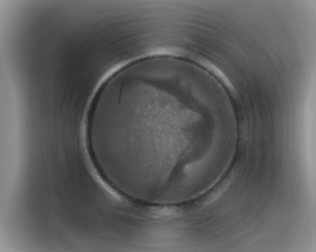 X0000115450991200911121150