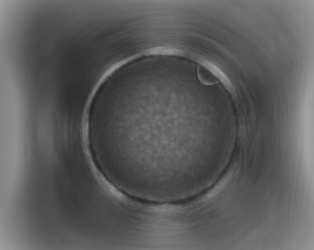 X0000115450992200911121150