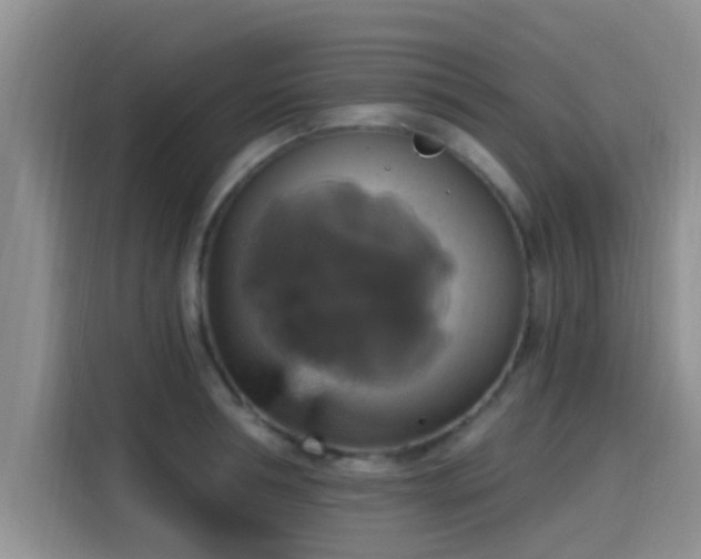 X0000115450994200911121150