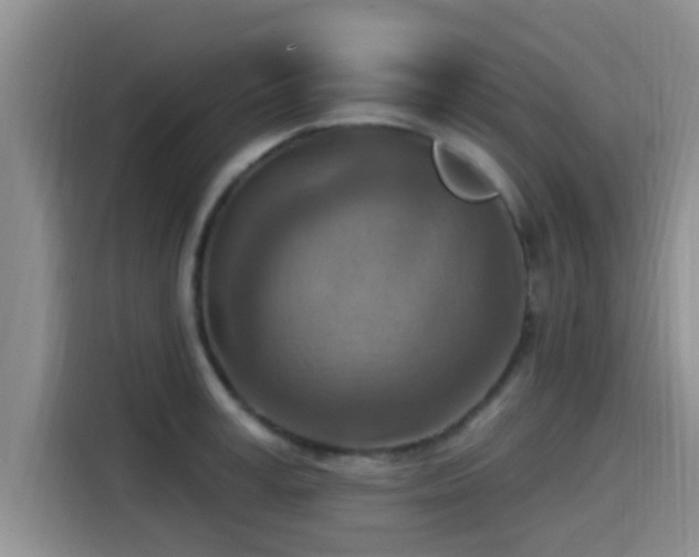 X0000115450995200911121150
