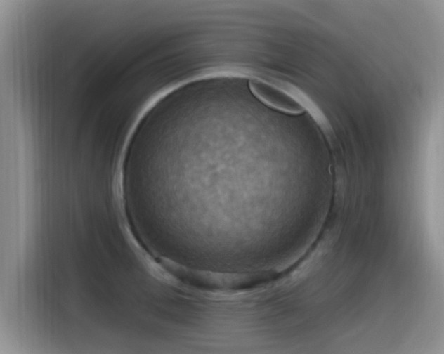 X0000115450996200911121150