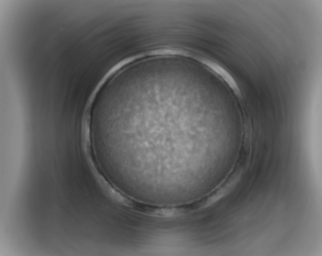 X0000115451000200911121150