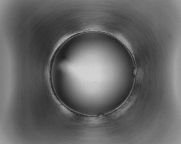 X0000115451005200911121150