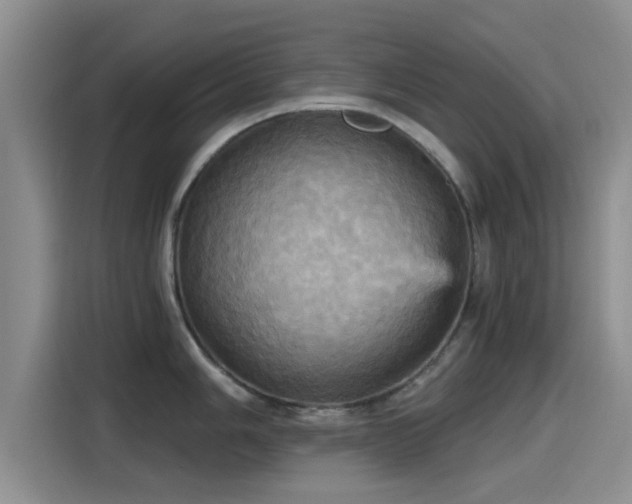 X0000115451006200911121150