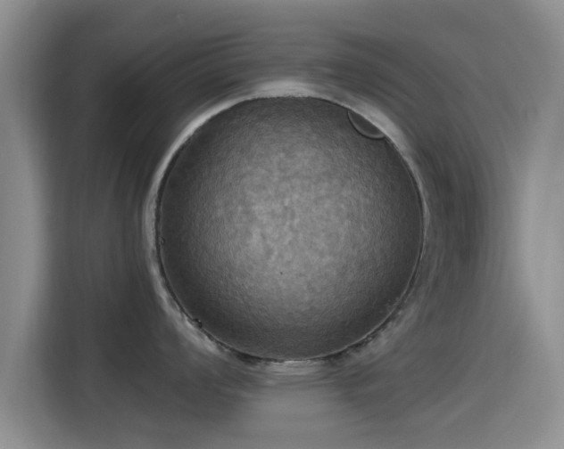 X0000115451008200911121150