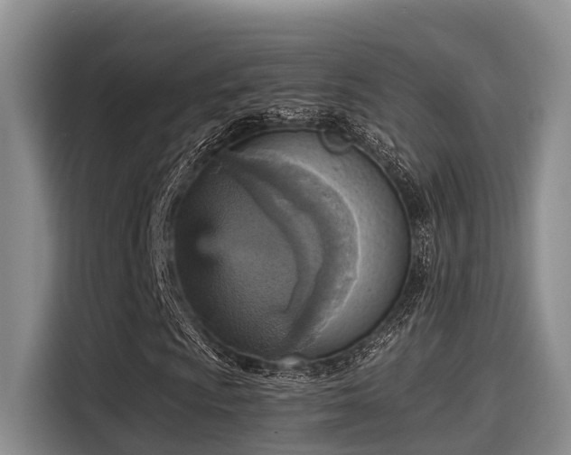 X0000115451009200911121149