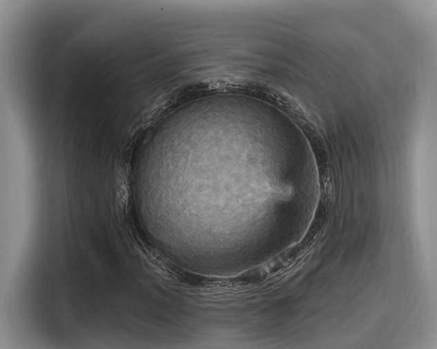 X0000115451012200911121149