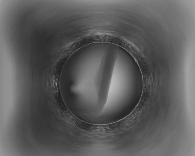 X0000115451013200911121149