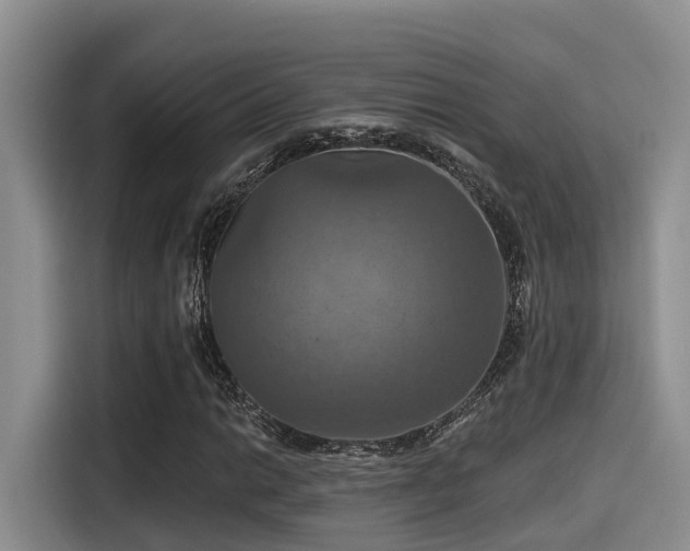 X0000115451014200911121149