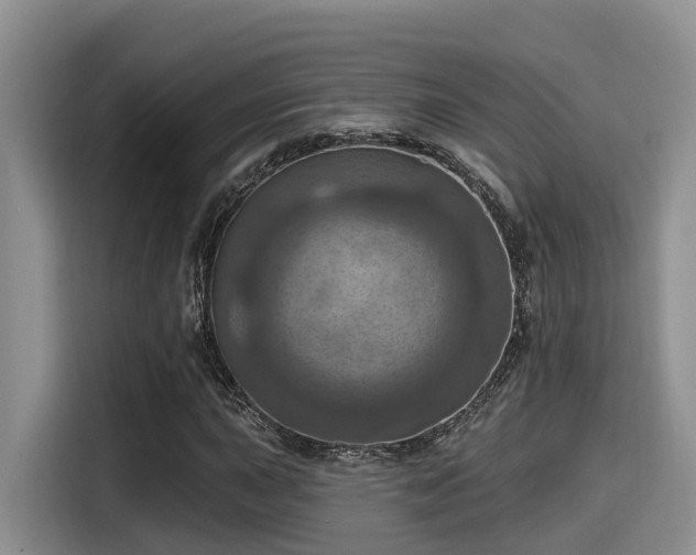 X0000115451015200911121149