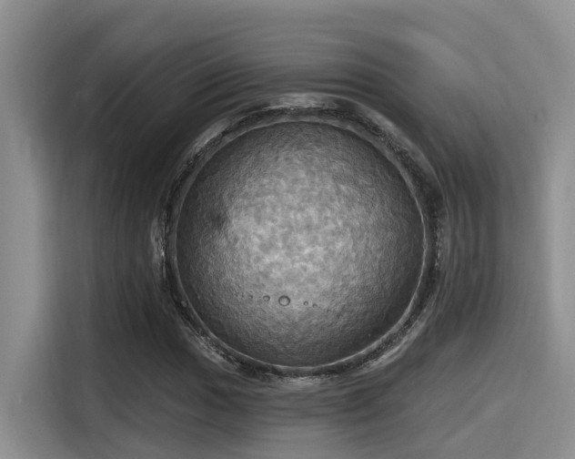X0000115451017200911121149