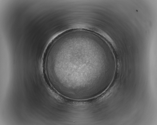 X0000115451020200911121149