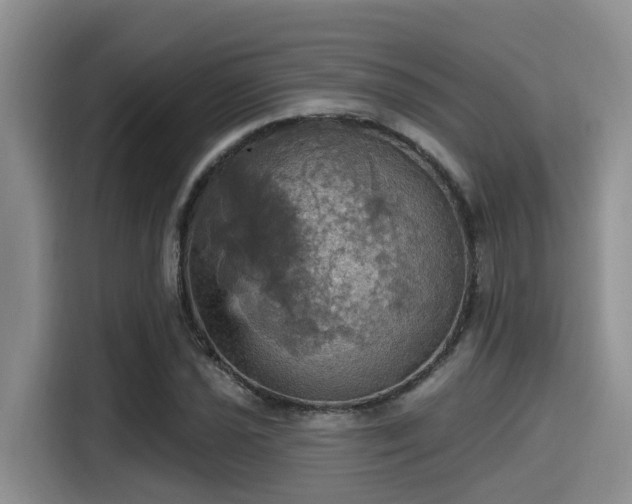 X0000115451021200911121149