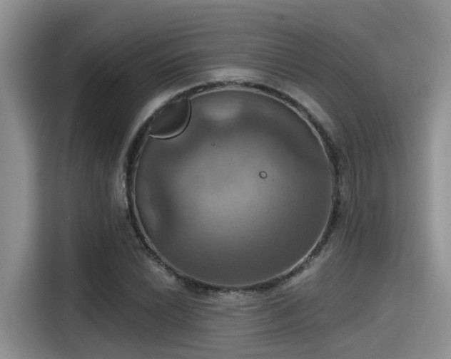 X0000115451022200911121149