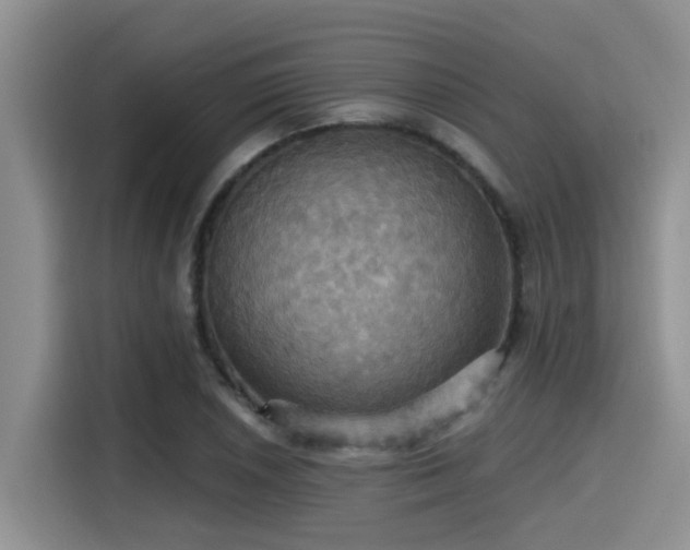 X0000115451026200911121149