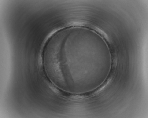 X0000115451027200911121149