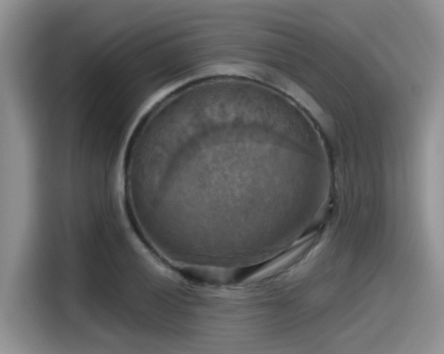 X0000115451028200911121149