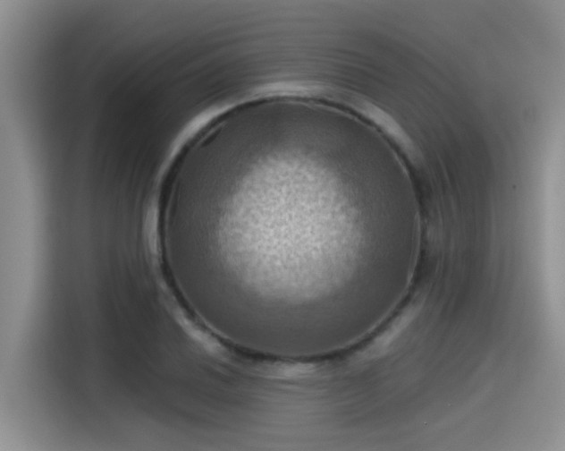 X0000115451030200911121149