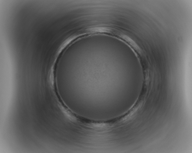 X0000115451031200911121149