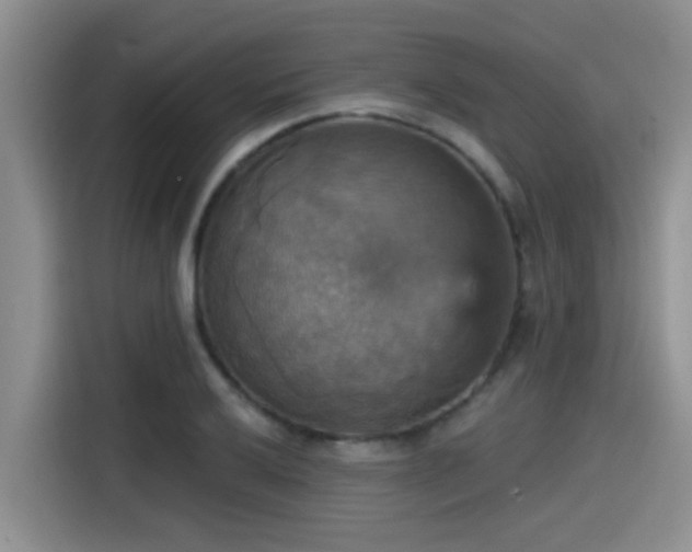 X0000115451032200911121149