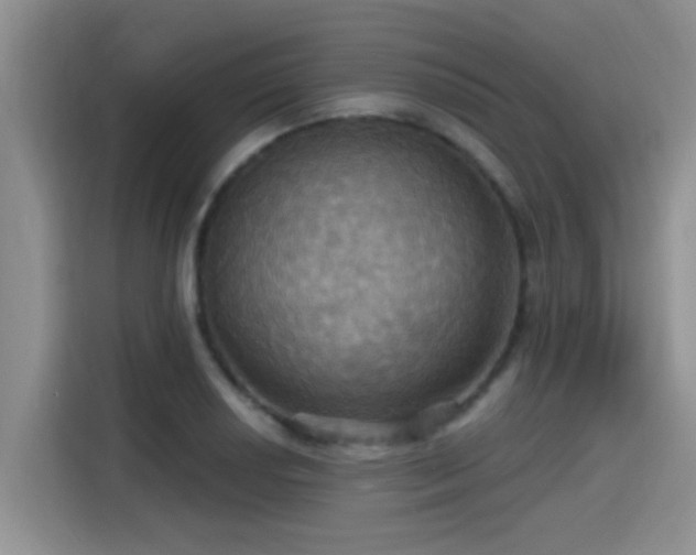 X0000115451034200911121150
