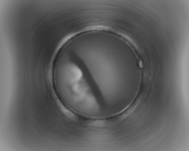 X0000115451038200911121150