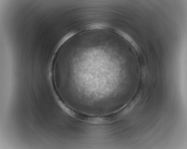 X0000115451042200911121150