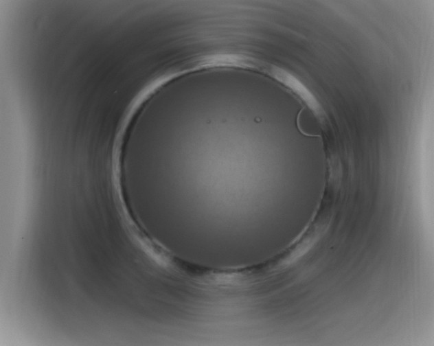 X0000115451043200911121150