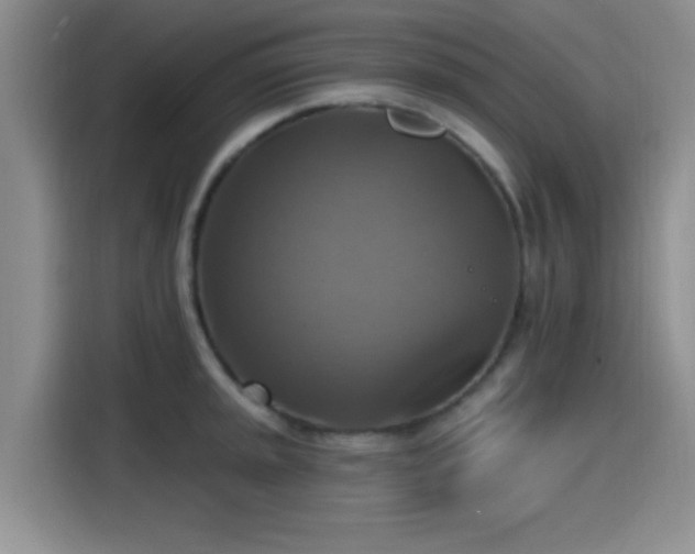X0000115451045200911121150