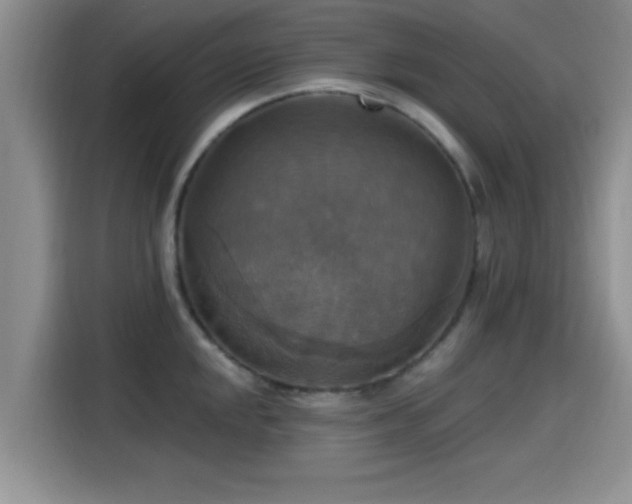 X0000115451048200911121150