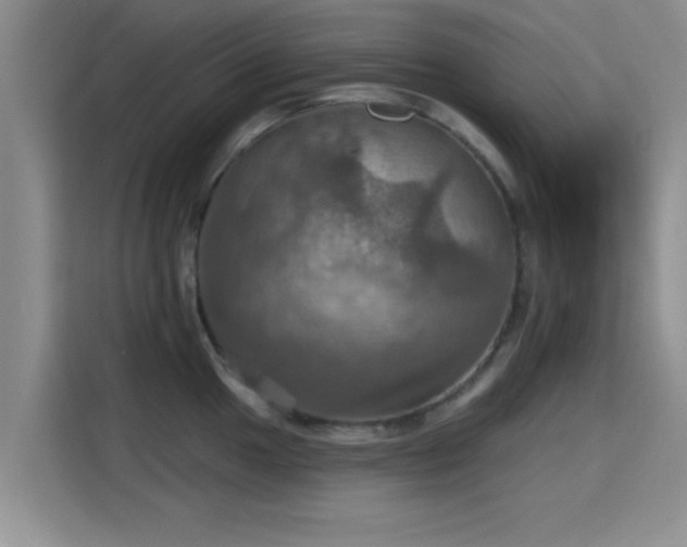 X0000115451049200911121150