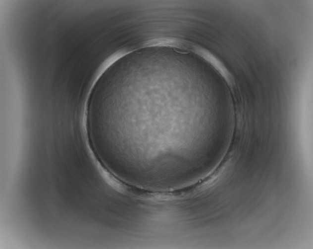 X0000115451050200911121150