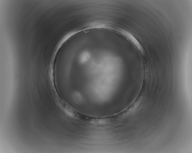 X0000115451051200911121150