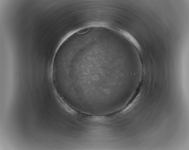 X0000115451052200911121150