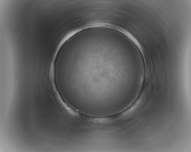 X0000115451053200911121150