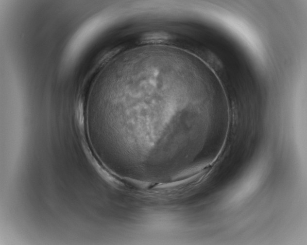 X0000115451054200911121150