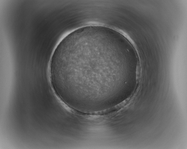 X0000115451056200911121150