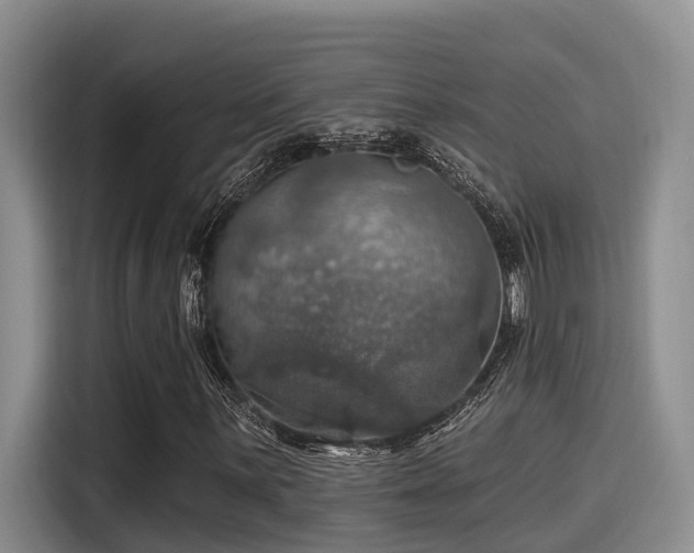 X0000115451059200911121149