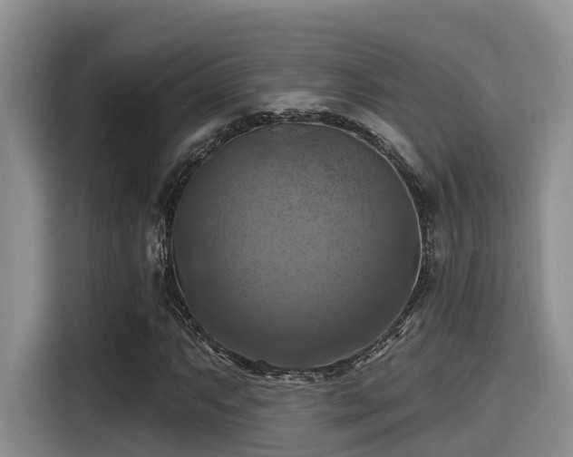 X0000115451063200911121149