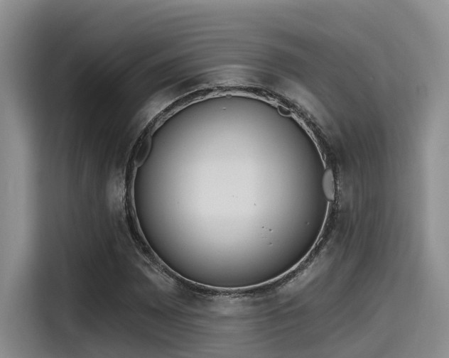 X0000115451065200911121149