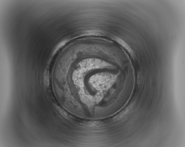 X0000115451067200911121149